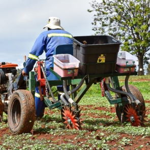 CIMMYT-Mechanization-ZIM-01062017-0004-1024x683
